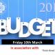Thomson Cooper celebrates their 20th Budget Analysys news image